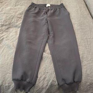 Aritzia Wilfred joggers